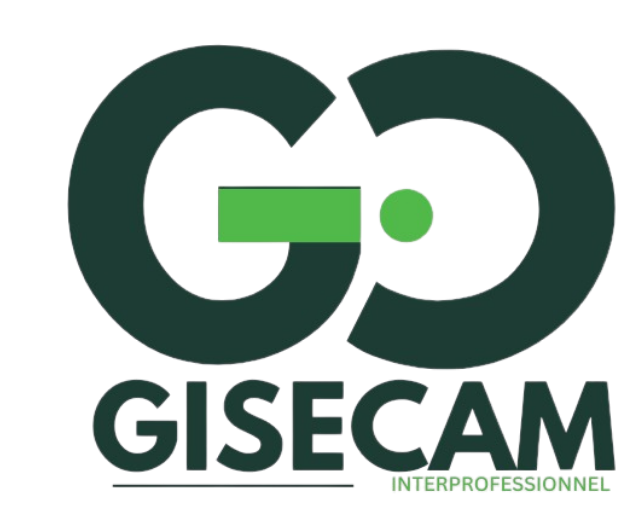 Logo GISECAM